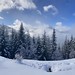 IMG_3821 (1)